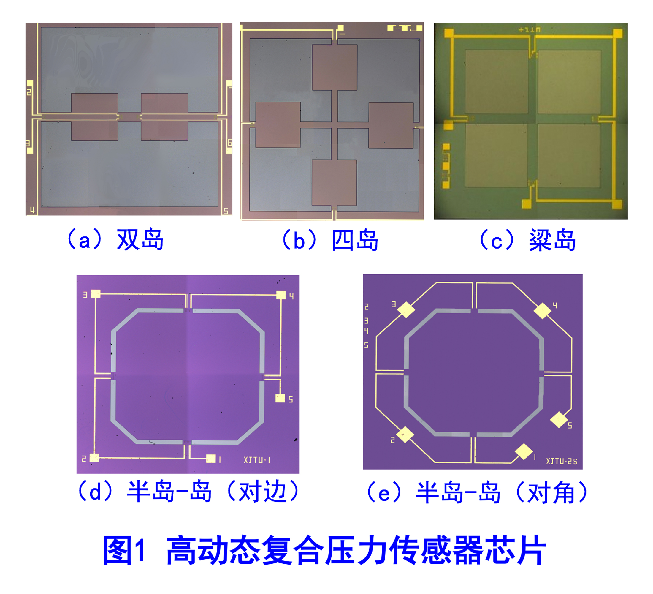 图1-压力芯片.jpg