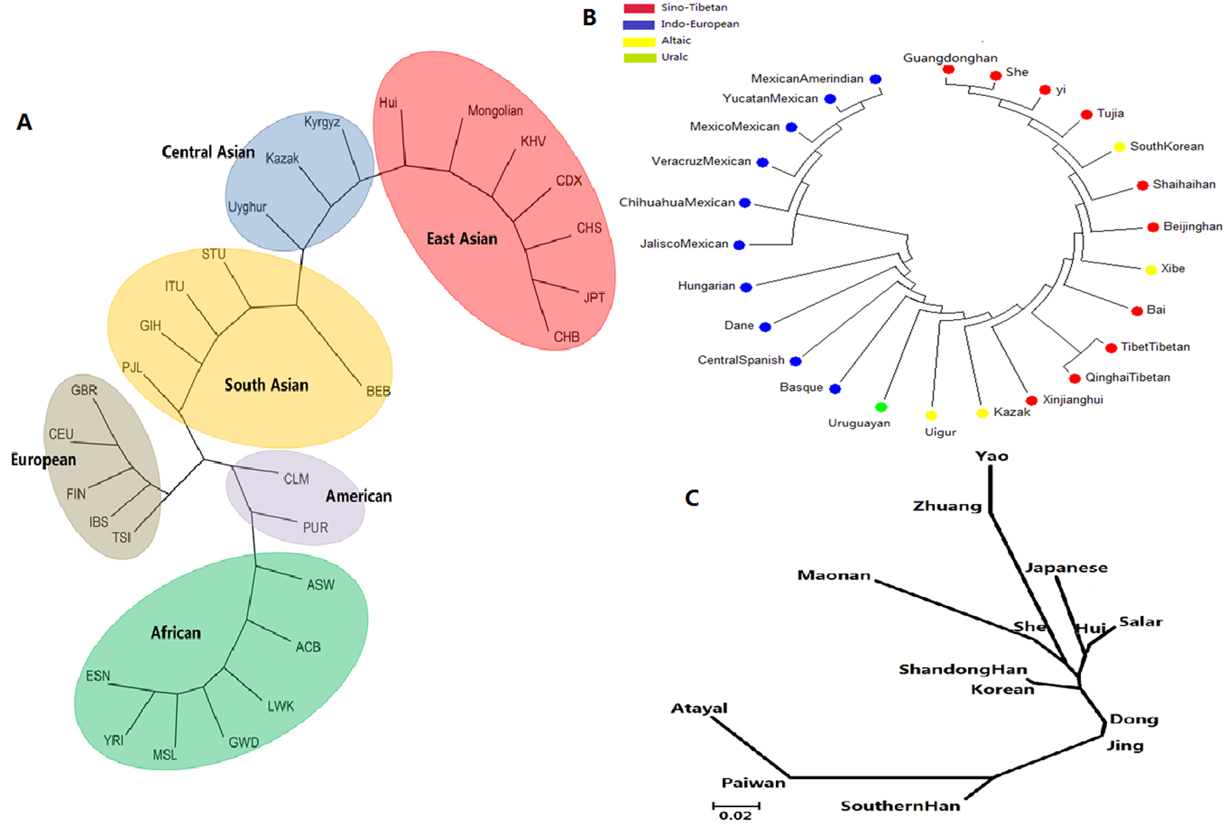 基于不同族群的常染色体InDel位点（A, B）和Y-STR基因座（C）的群体遗传数据构建的系统发育树.jpg